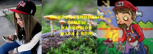сатива Баксан