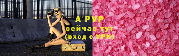 сатива Баксан