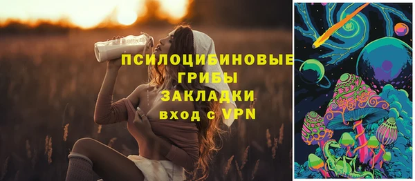 сатива Баксан