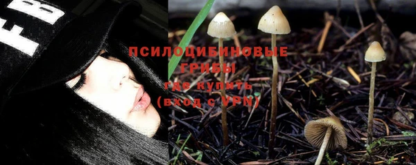 сатива Баксан