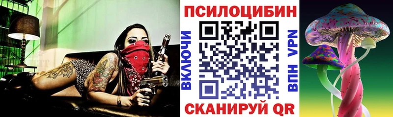 Галлюциногенные грибы GOLDEN TEACHER цены наркотик Корсаков